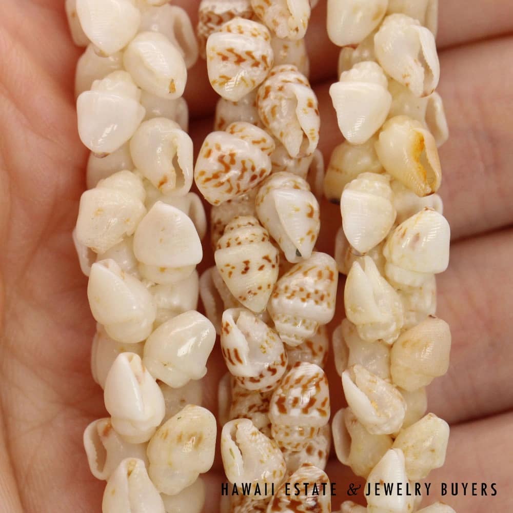 Three-Strand Ni'ihau Shell Lei: 38 inch Kipona Pikake Momi. - Image 9