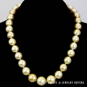11-14mm Golden South Sea Pearl 14k Yellow Gold Strand 17.5"