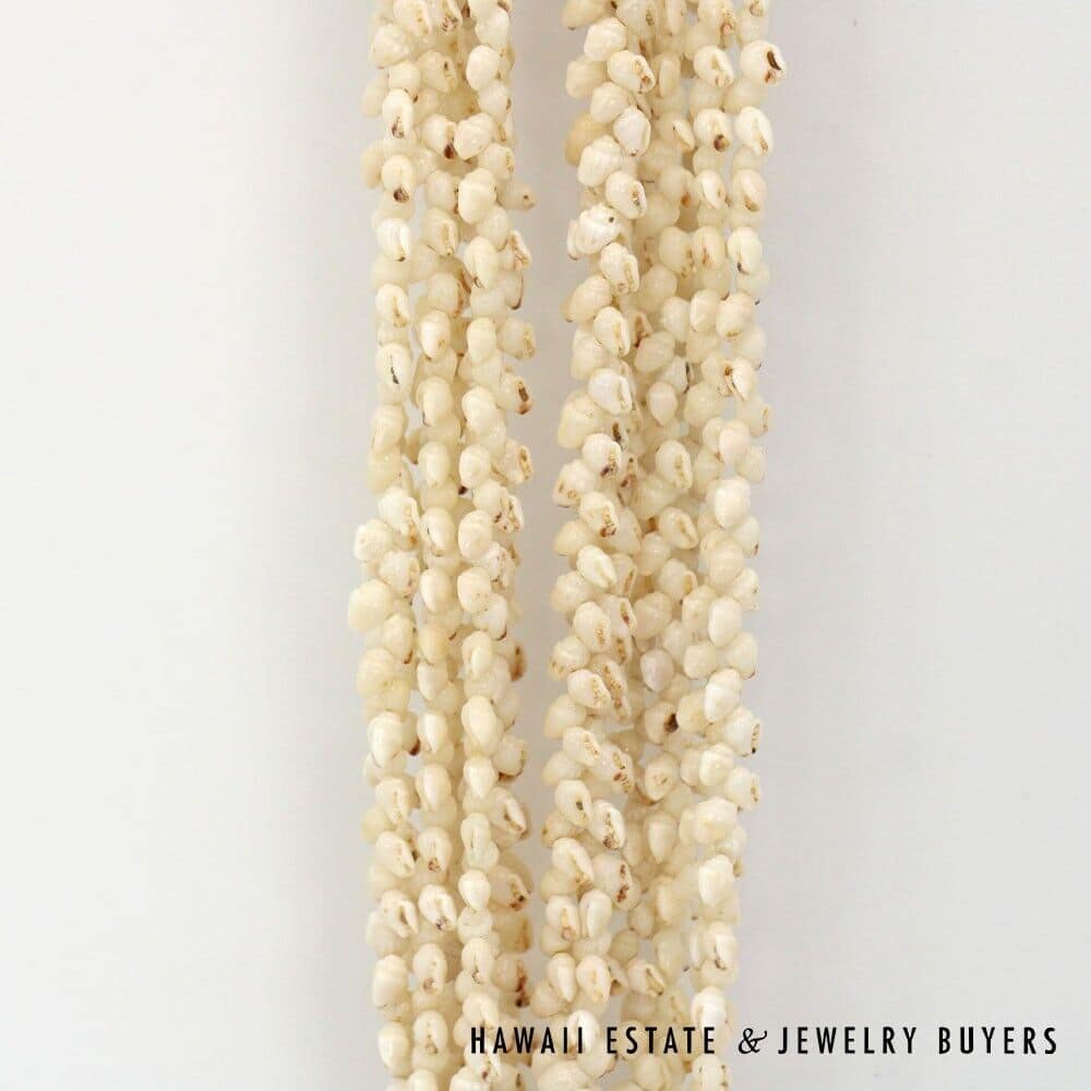 Eight-Strand Ni'ihau Shell Lei: Ginger Momi Ke'oke'o 36 inches #RM112420-02 - Image 5