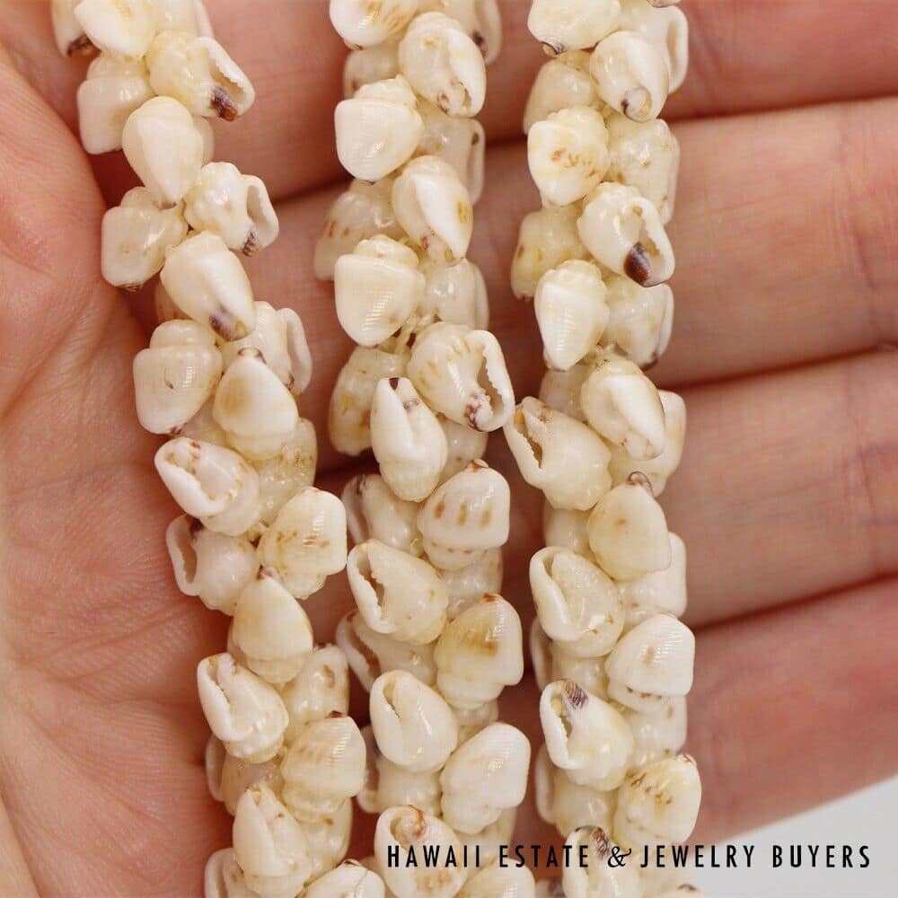 Three-Strand Ni'ihau Shell Lei: Pikake Momi Lenalena 36 inches #2835-01 - Image 9
