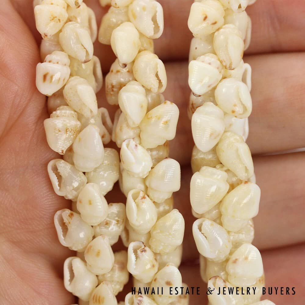 Three Strand Ni'ihau Shell Lei: Pikake Momi Lenalena 38 inches #2472-01 - Image 10