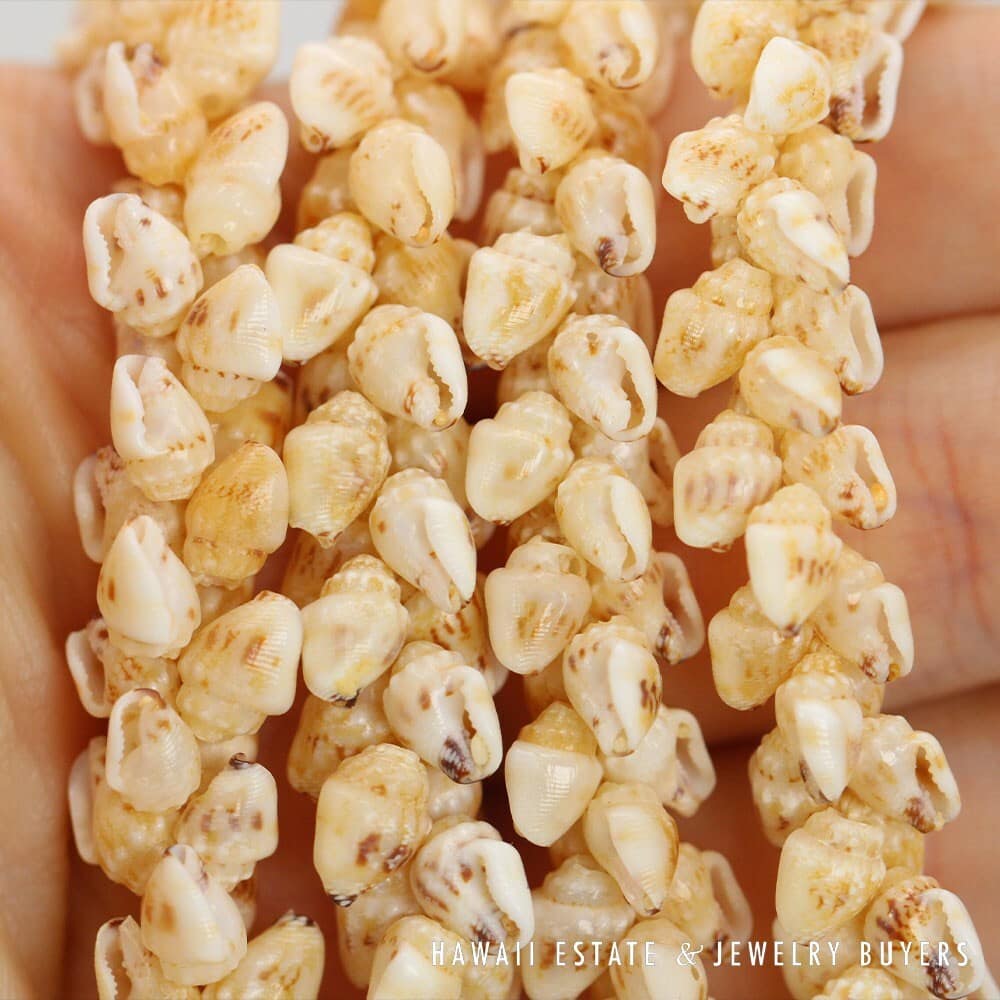 Single-Strand Ni'ihau Shell Lei: Pikake Momi Lenalena 62 inches #2778-19 - Image 10