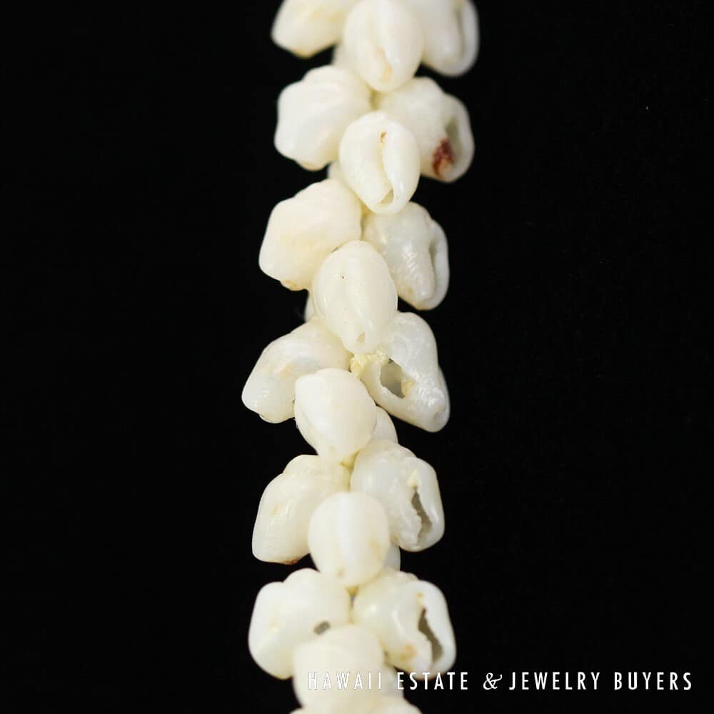 Single Strand Ni'ihau Shell Lei: Pikake Momi Ke'oke'o 30 inches #2723-01 - Image 11