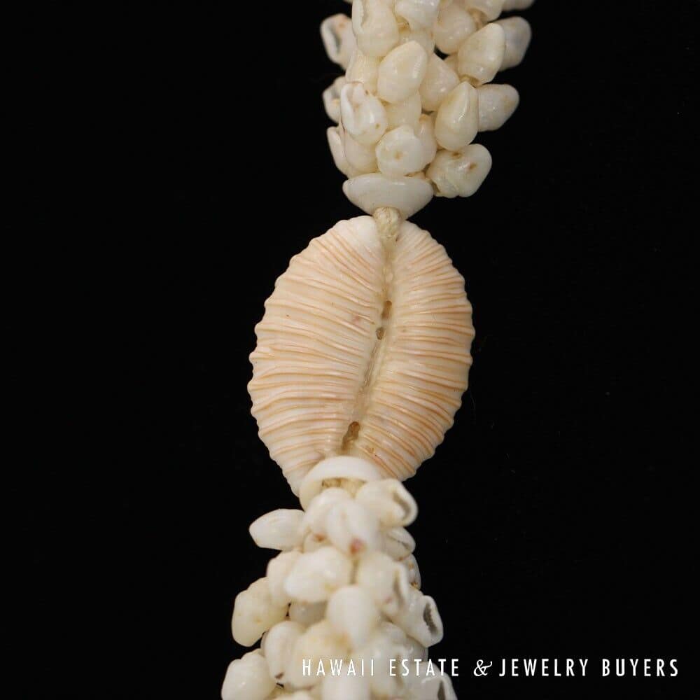 Three-Strand Ni'ihau Shell Lei: Pikake Momi Lenalena Kua Ula 36 inches #2778-14 - Image 11