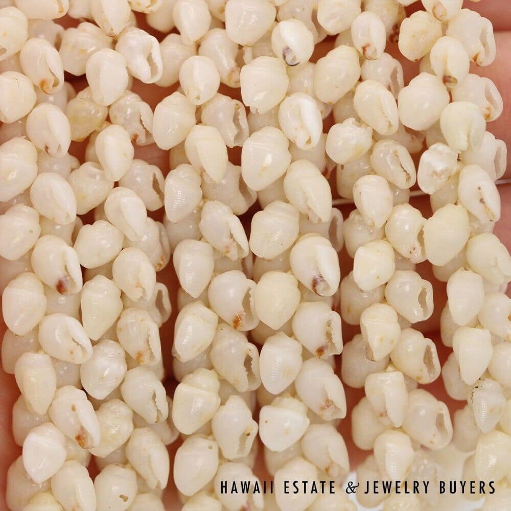 Three-Strand Ni'ihau Shell Lei: Pikake Momi Lenalena Kua Ula 36 inches #2778-14 - Image 9