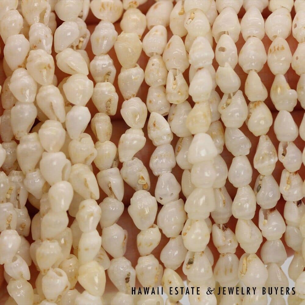 Ten-Strand Ni'ihau Shell Wedding Lei: Pololei Momi Ke'oke'o 36 inches #2741-01 - Image 10