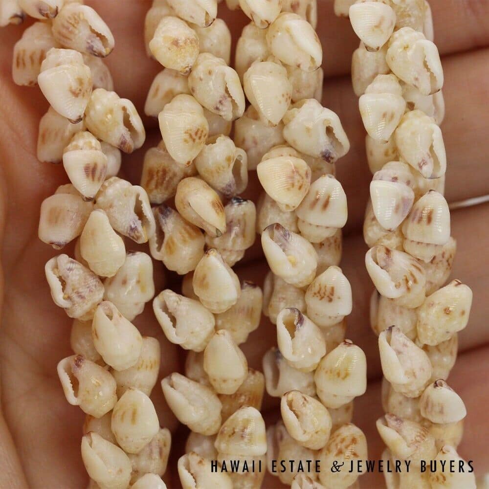 Four-Strand Ni'ihau Shell Lei: Pikake Momi Lenalena 36 inches #RM112420-04 - Image 11