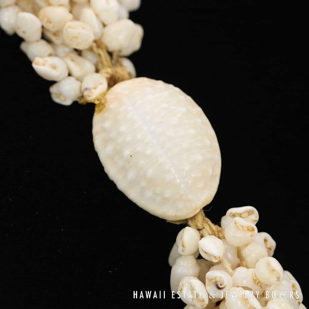 Eight-Strand Ni'ihau Shell Lei: Ginger Momi Ke'oke'o 36 inches #RM112420-02 - Image 9