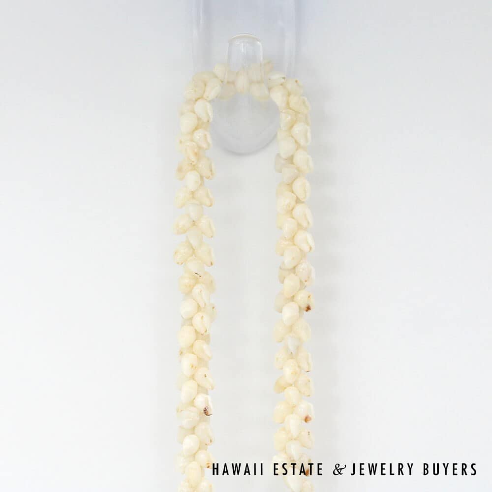 Single Strand Ni'ihau Shell Lei: Pikake Momi Ke'oke'o 30 inches #2723-01 - Image 5