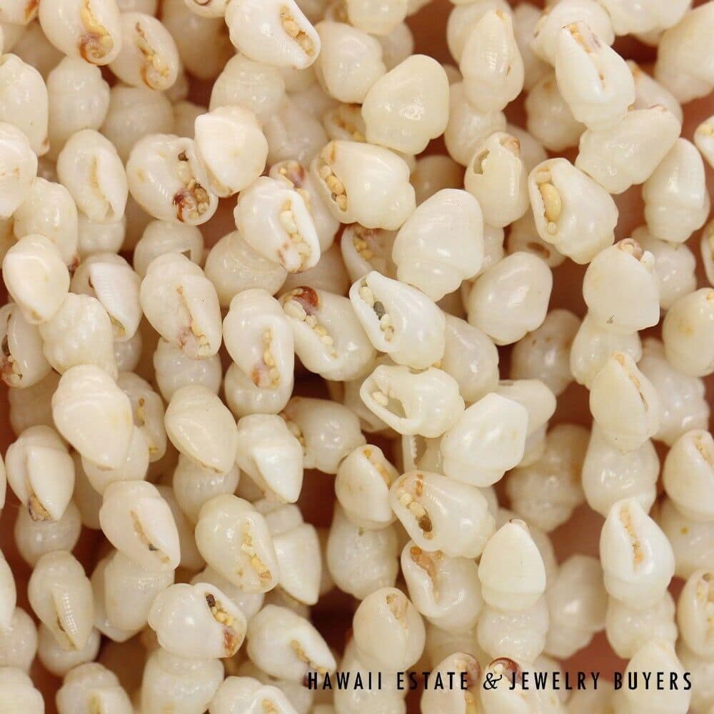 Eight-Strand Ni'ihau Shell Lei: Ginger Momi Ke'oke'o 36 inches #RM112420-02 - Image 8