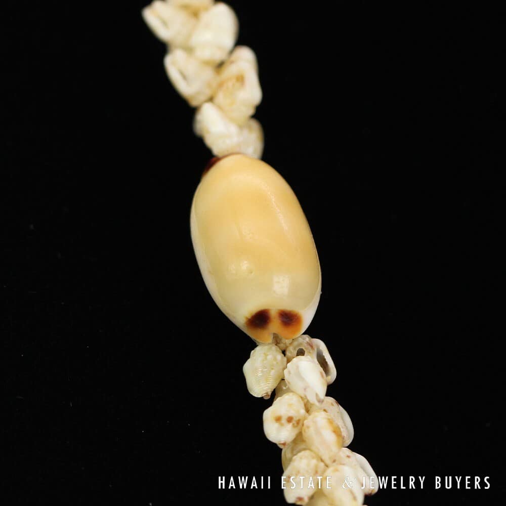 Single-Strand Ni'ihau Shell Lei: Pikake Momi Lenalena 62 inches #2778-19 - Image 8