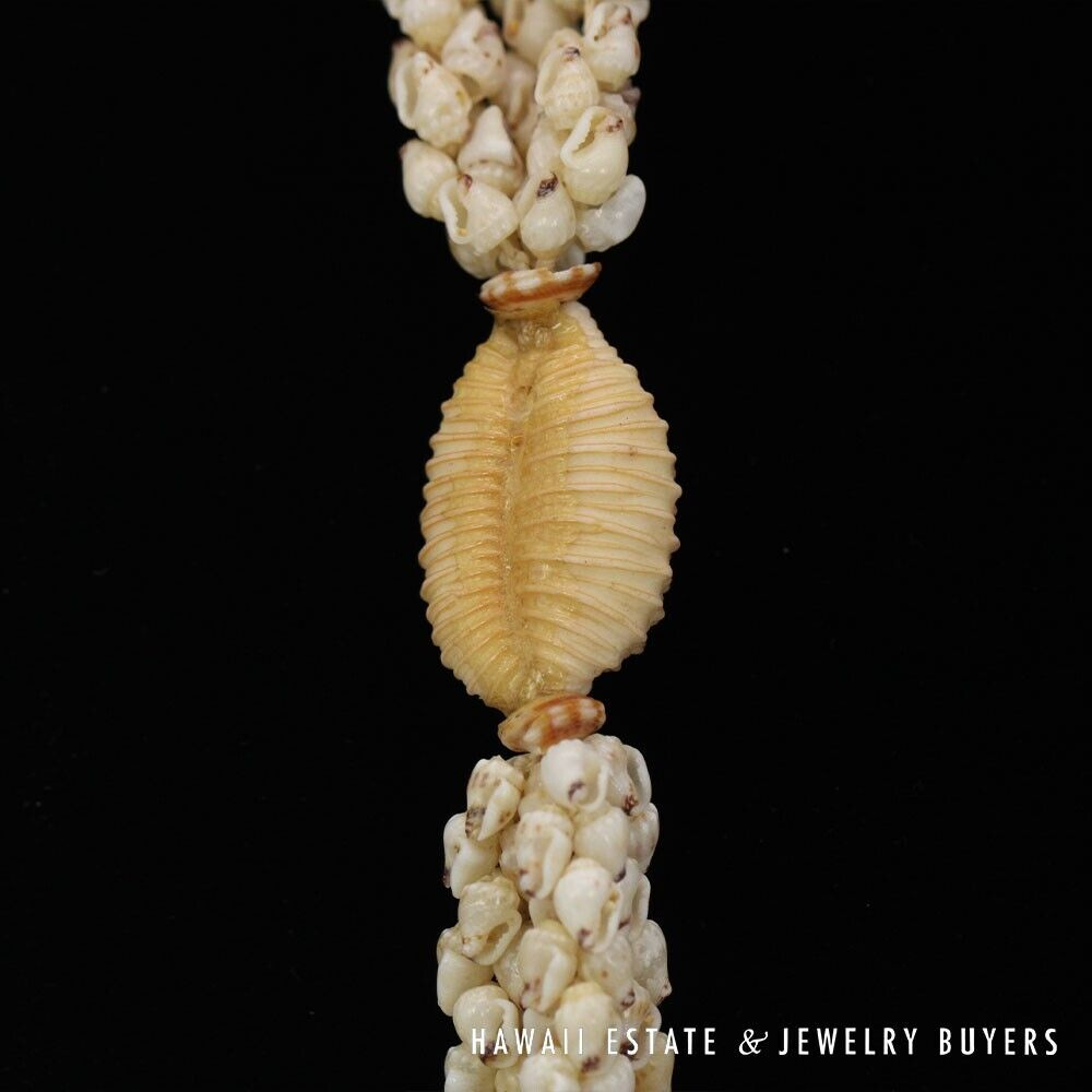 3-Strand Ni'ihau Shell Lei: 41" Poe'Poe Paha Momi Lenalena Kua Ele #111623-01 - Image 11