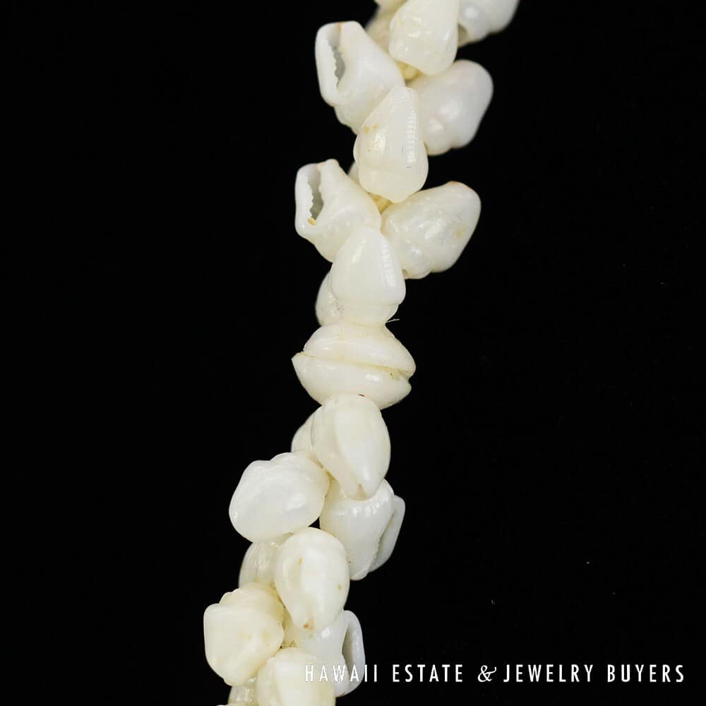 Single Strand Ni'ihau Shell Lei: Pikake Momi Ke'oke'o 30 inches #2723-01 - Image 10
