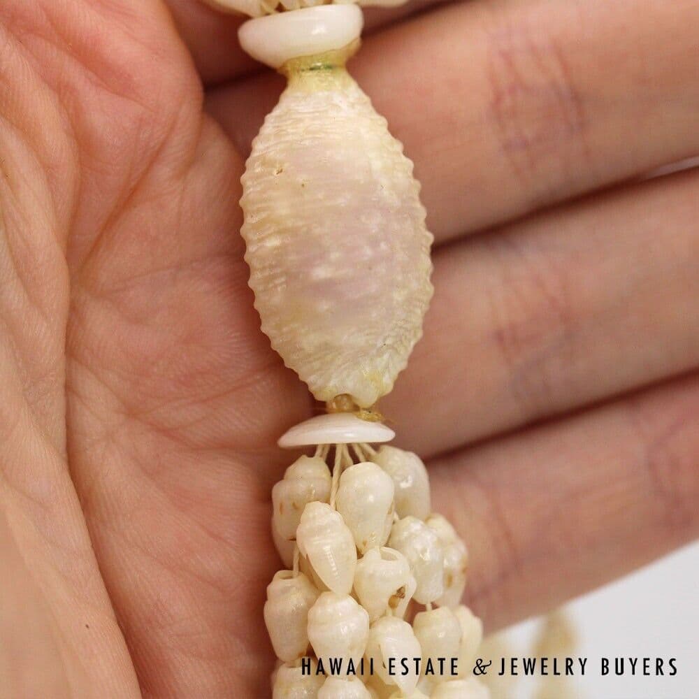 Ten-Strand Ni'ihau Shell Wedding Lei: Pololei Momi Ke'oke'o 36 inches #2741-01 - Image 11