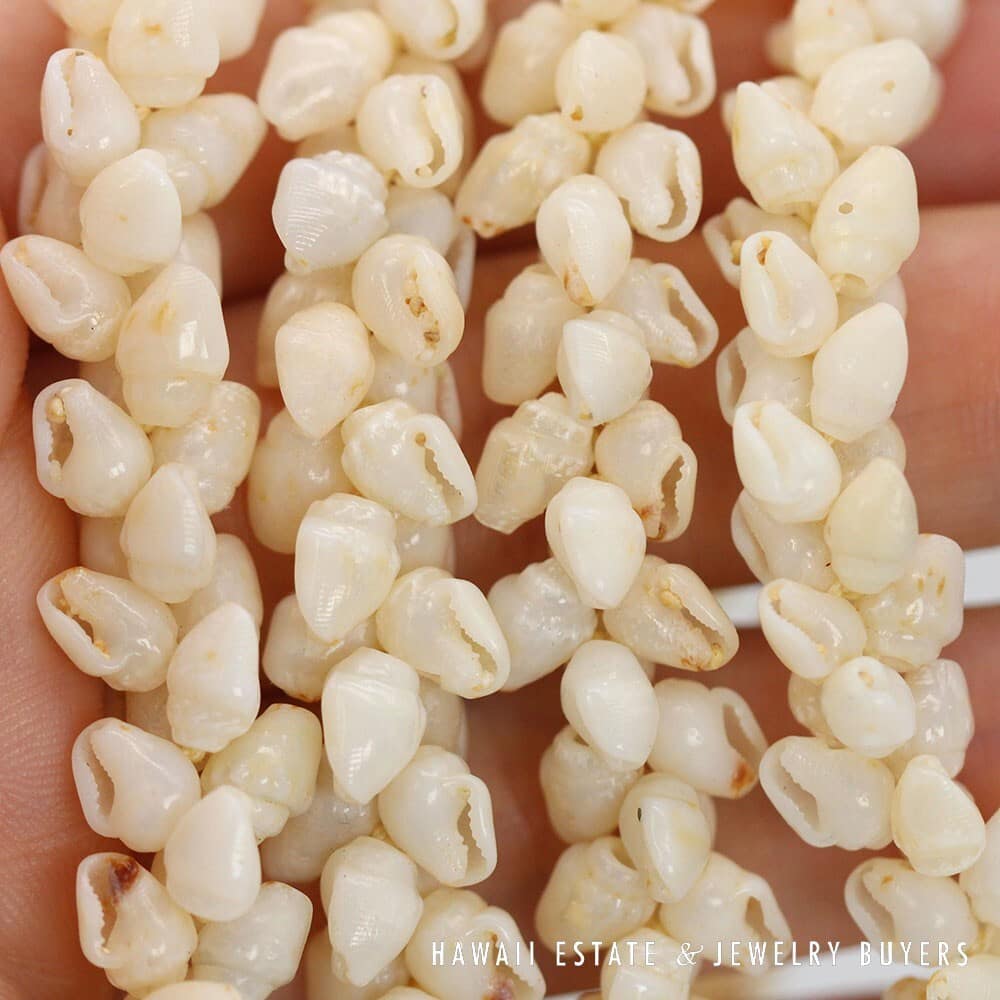 Single Strand Ni'ihau Shell Lei: Pikake Momi Ke'oke'o 30 inches #2723-01 - Image 9