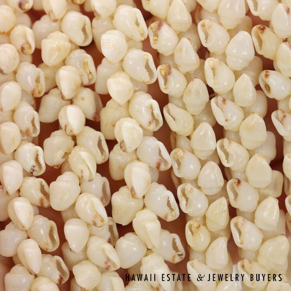 3-Strand Ni'ihau Shell Lei: Pikake Momi Lenalena 36 inches #KP042921-01 - Image 9