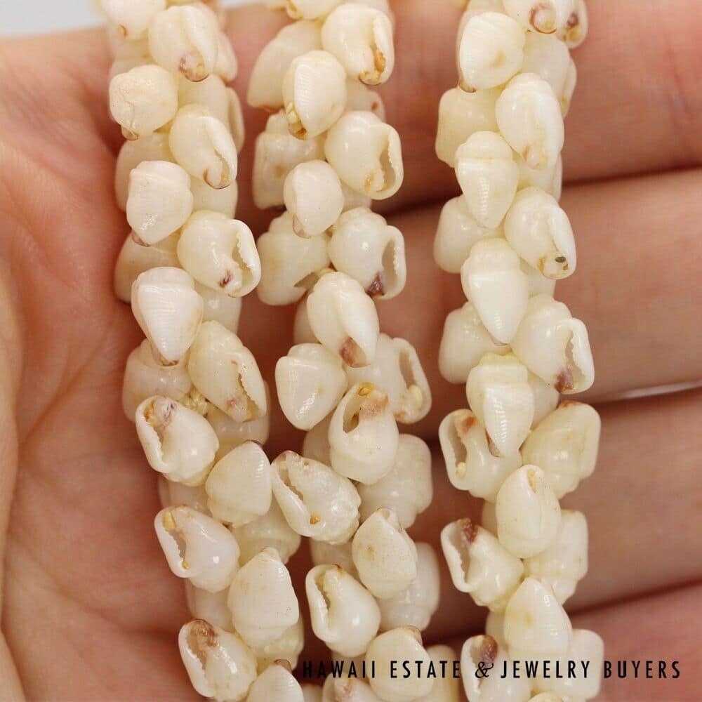 3-Strand Ni'ihau Shell Lei: Pikake Momi Lenalena 36 inches #KP042921-01 - Image 8