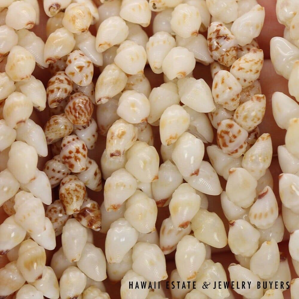 Double Strand Ni'ihau Shell Lei: Pikake Momi 51 inches #SC2017-01 - Image 6