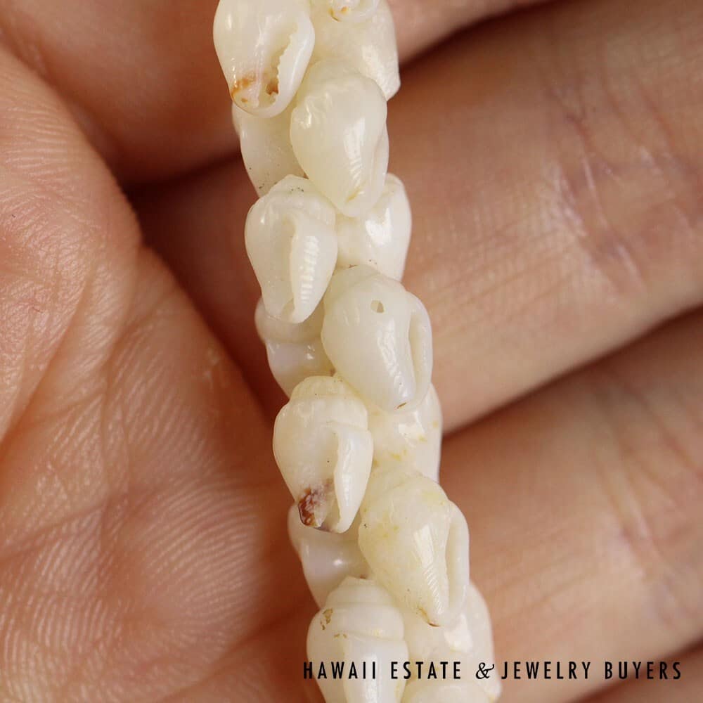 Ni'ihau Shell Choker Necklace with Earrings: Pupu Momi Ke'oke'o 16" #3280-02 - Image 6