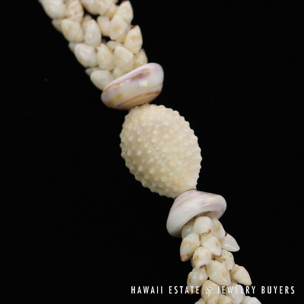 Double Strand Ni'ihau Shell Lei: Pikake Momi 51 inches #SC2017-01 - Image 3
