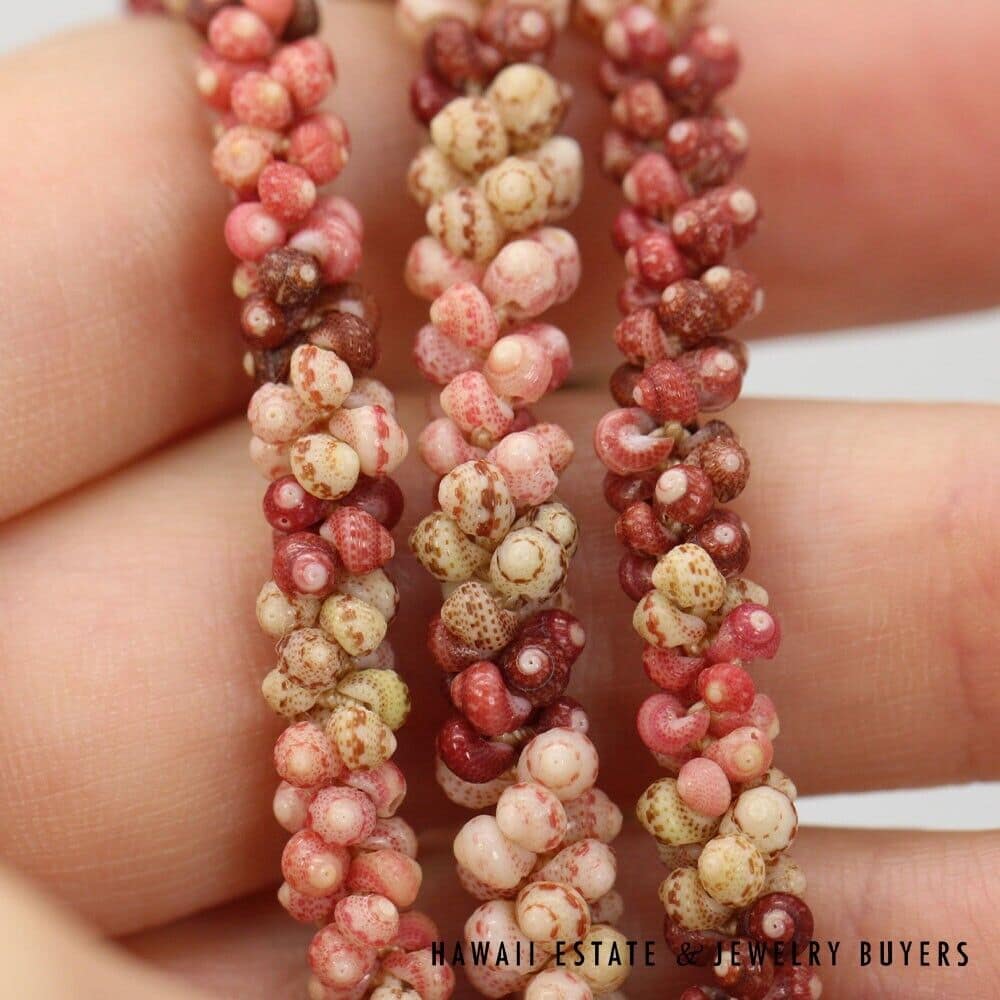 Ni'ihau Shell Choker Necklace and Earring Set: Kahelelani 18 inches #070621-01 - Image 8