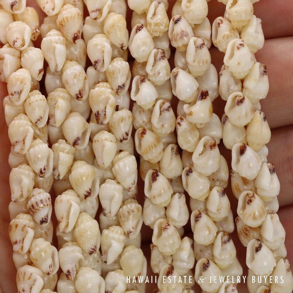 3-Strand Ni'ihau Shell Lei: 41" Poe'Poe Paha Momi Lenalena Kua Ele #111623-01 - Image 12