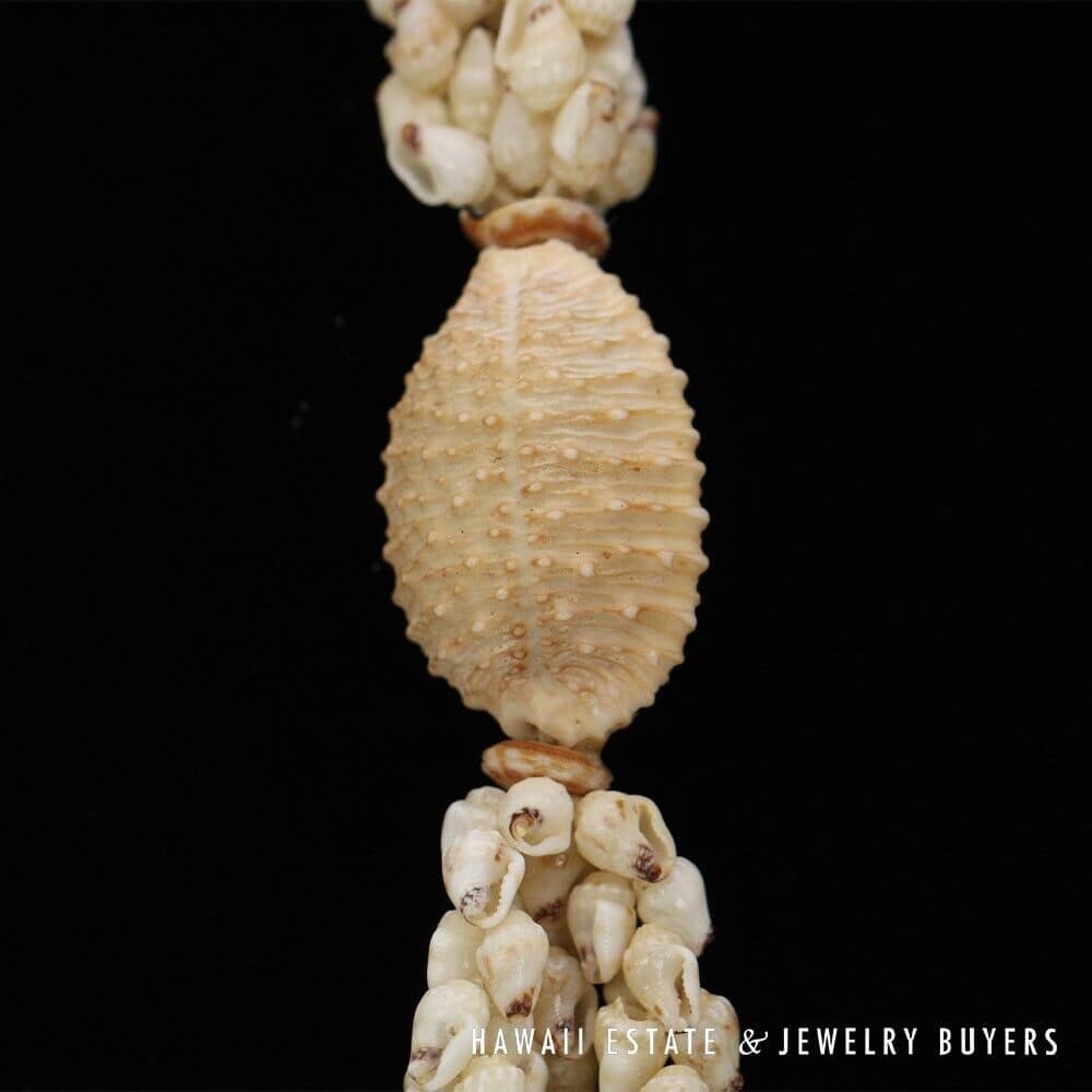 3-Strand Ni'ihau Shell Lei: 41" Poe'Poe Paha Momi Lenalena Kua Ele #111623-01 - Image 10