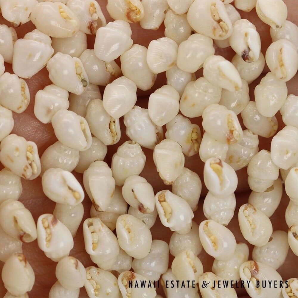 Eight-Strand Ni'ihau Shell Lei: Ginger Momi Ke'oke'o 36 inches #RM112420-02 - Image 7