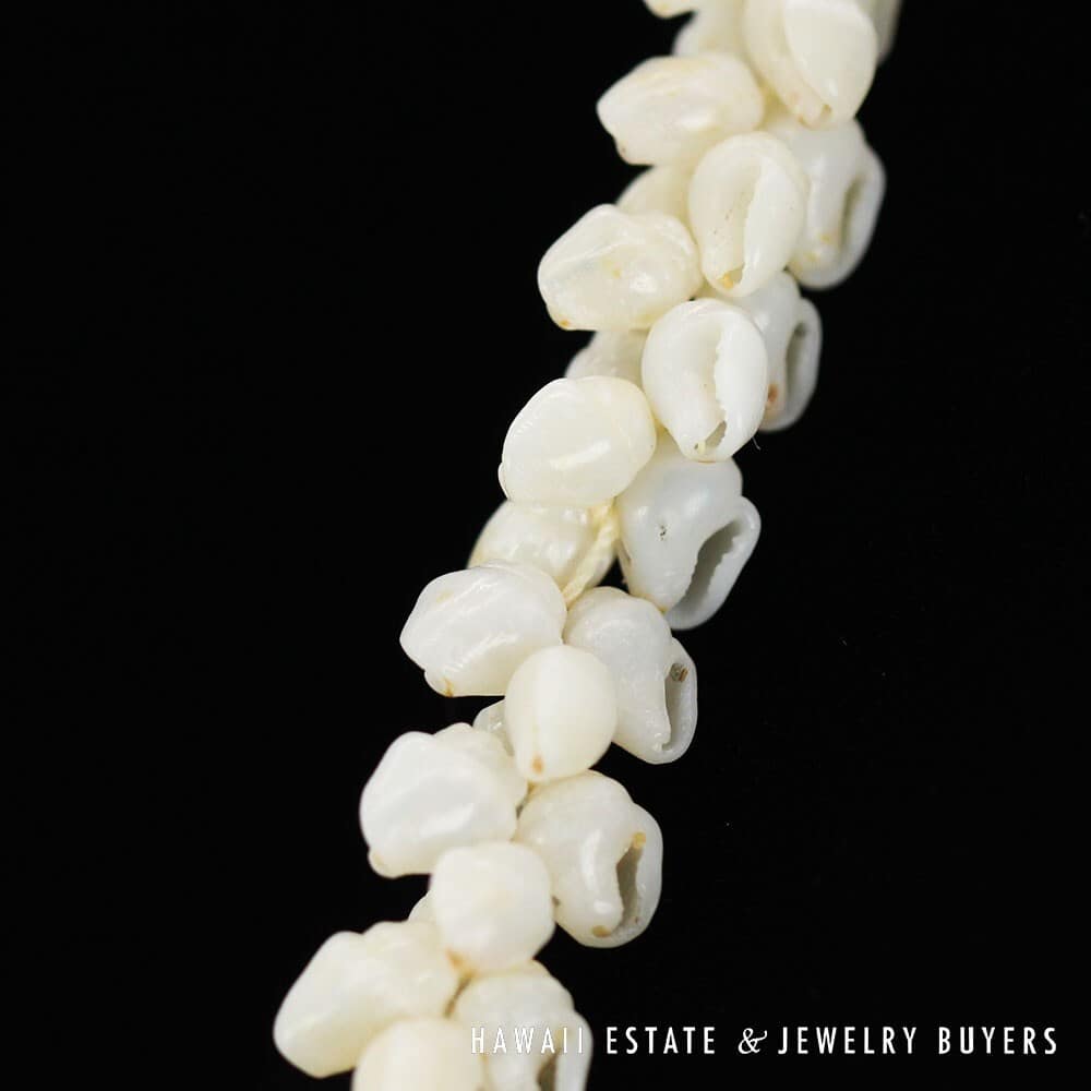 Single Strand Ni'ihau Shell Lei: Pikake Momi Ke'oke'o 30 inches #2723-01 - Image 12