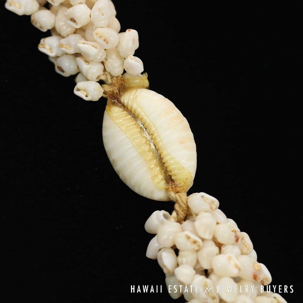 Eight-Strand Ni'ihau Shell Lei: Ginger Momi Ke'oke'o 36 inches #RM112420-02 - Image 10