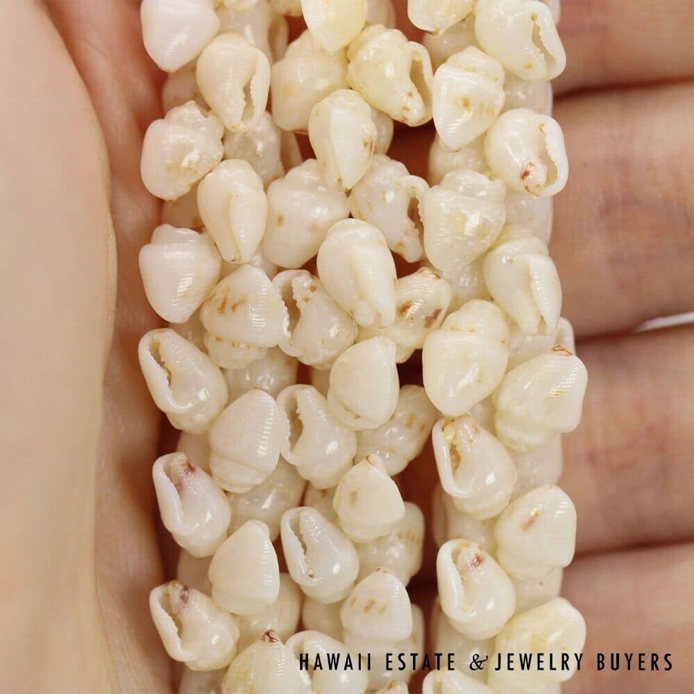 Three-Strand Ni'ihau Shell Lei and Earrings Set: Roselani 36 inches #HC070122-06 - Image 10