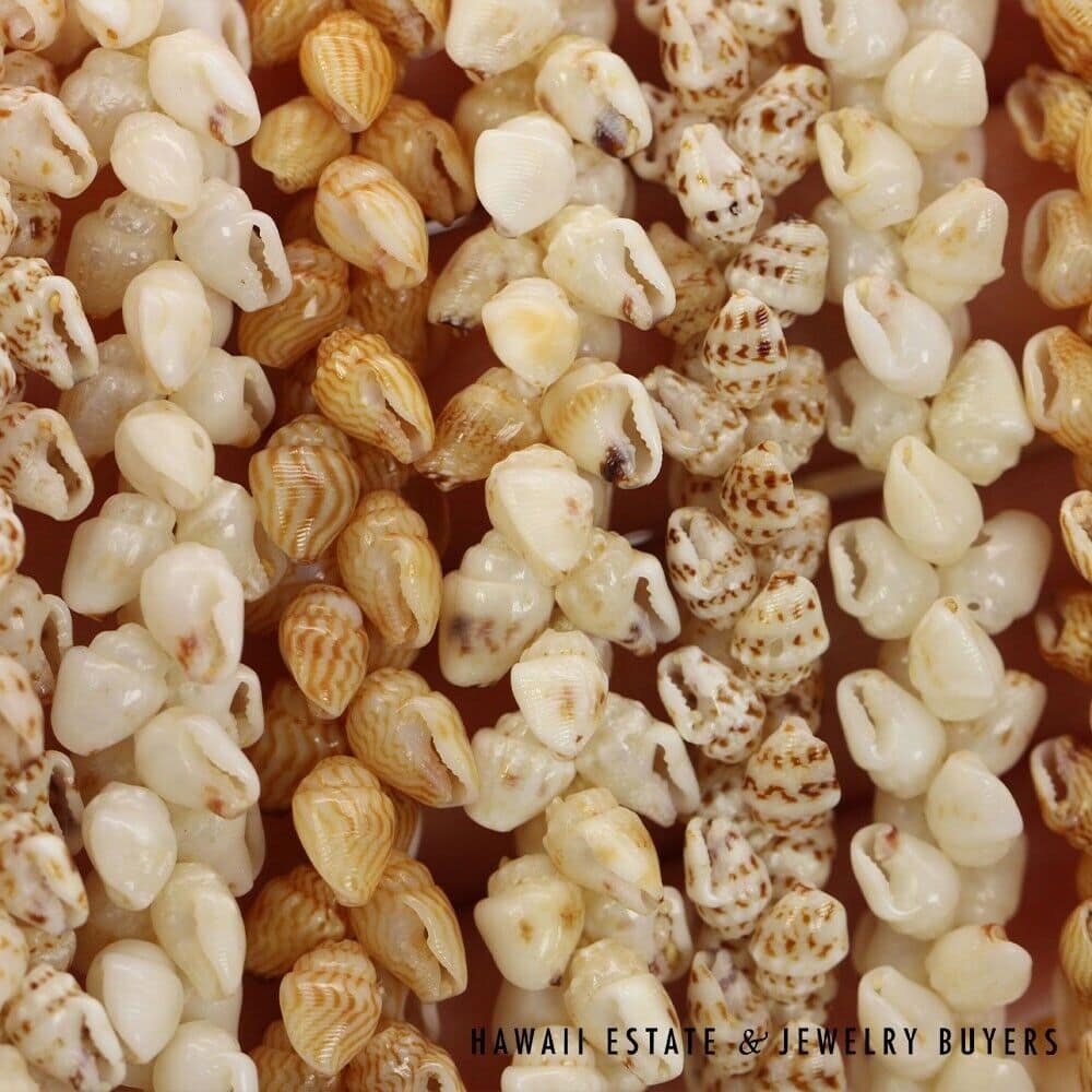 4-Strand Multi-Color Ni'ihau Shell Lei: Pikake Momi 38 inches #MKP090221-01 - Image 12