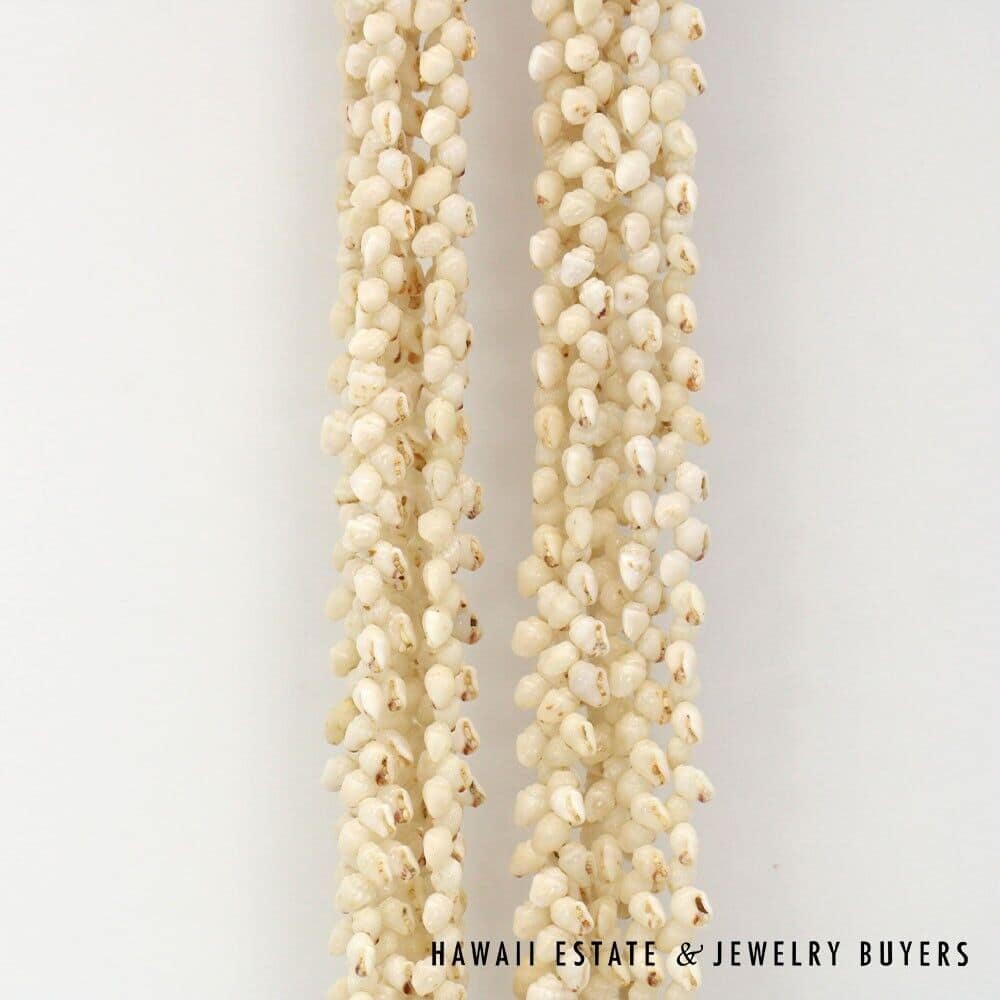 Eight-Strand Ni'ihau Shell Lei: Ginger Momi Ke'oke'o 36 inches #RM112420-02 - Image 4