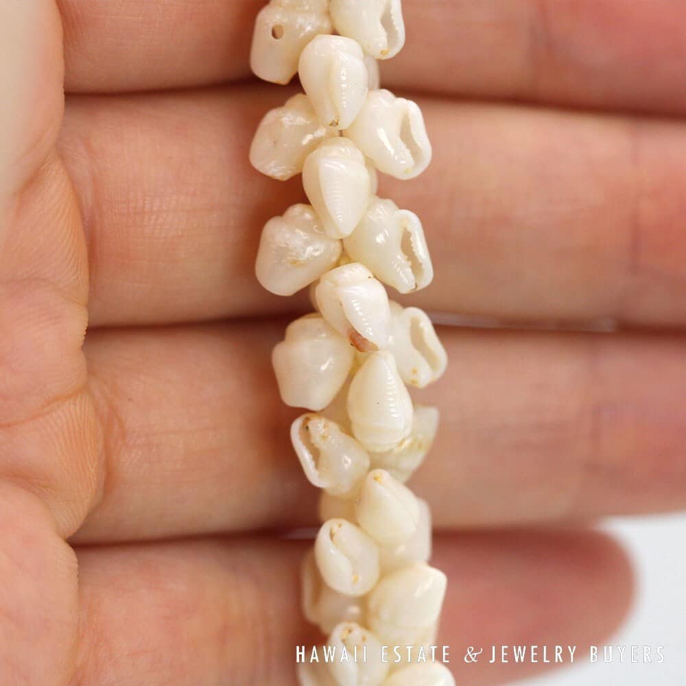 Single Strand Ni'ihau Shell Lei: Pikake Momi Ke'oke'o 30 inches #2723-01 - Image 8