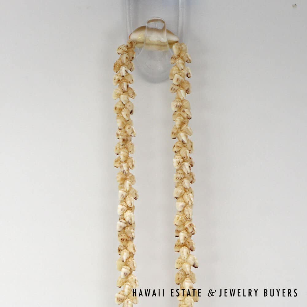 Single-Strand Ni'ihau Shell Lei: Pikake Momi Lenalena 62 inches #2778-19 - Image 7