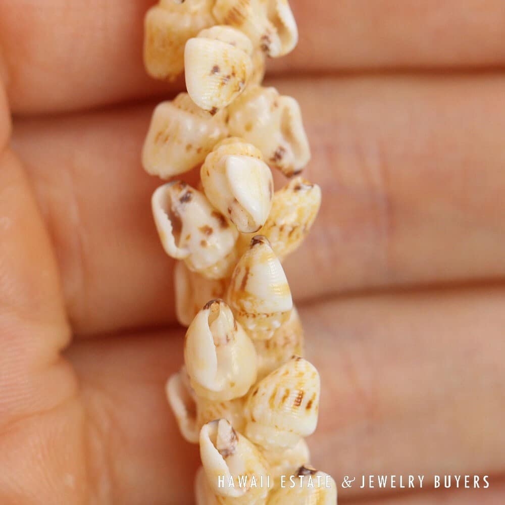 Single-Strand Ni'ihau Shell Lei: Pikake Momi Lenalena 62 inches #2778-19 - Image 11