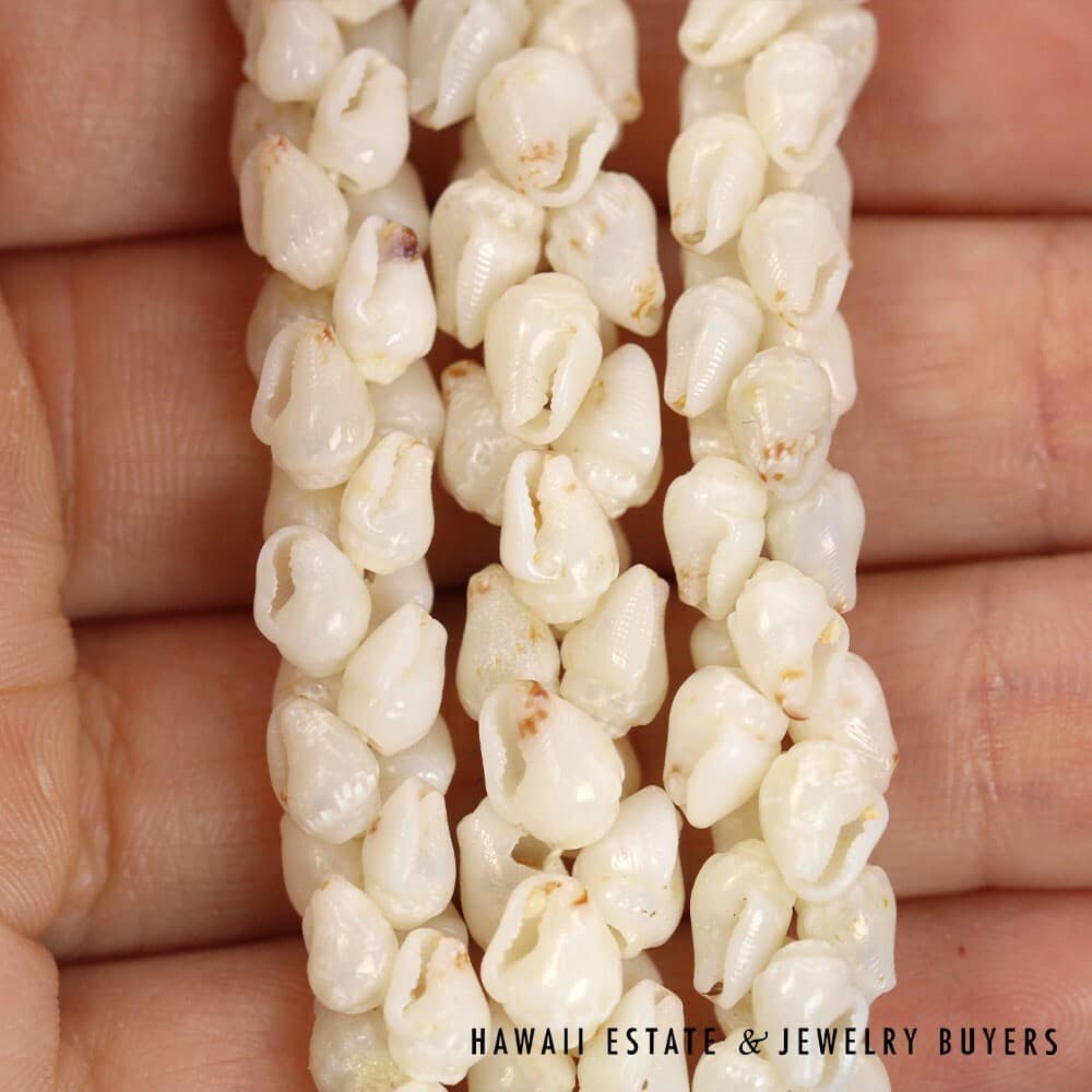 Ni'ihau Shell Choker Necklace with Earrings: Pupu Momi Ke'oke'o 16" #3280-02 - Image 7