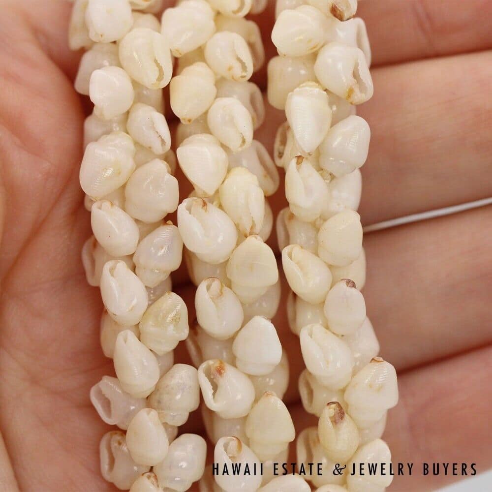 Three-Strand Ni'ihau Shell Lei: Pikake Momi Lenalena Kua Ula 36 inches #2778-14 - Image 8