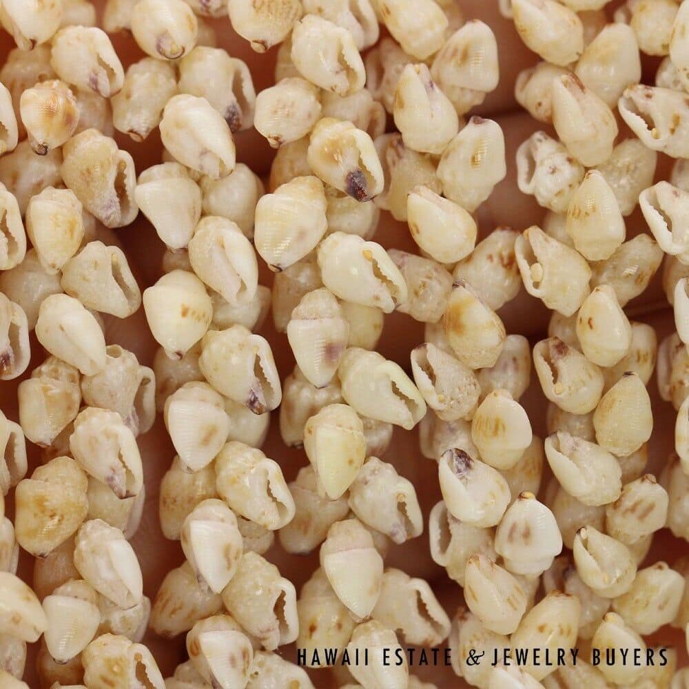 Four-Strand Ni'ihau Shell Lei: Pikake Momi Lenalena 36 inches #RM112420-04 - Image 12