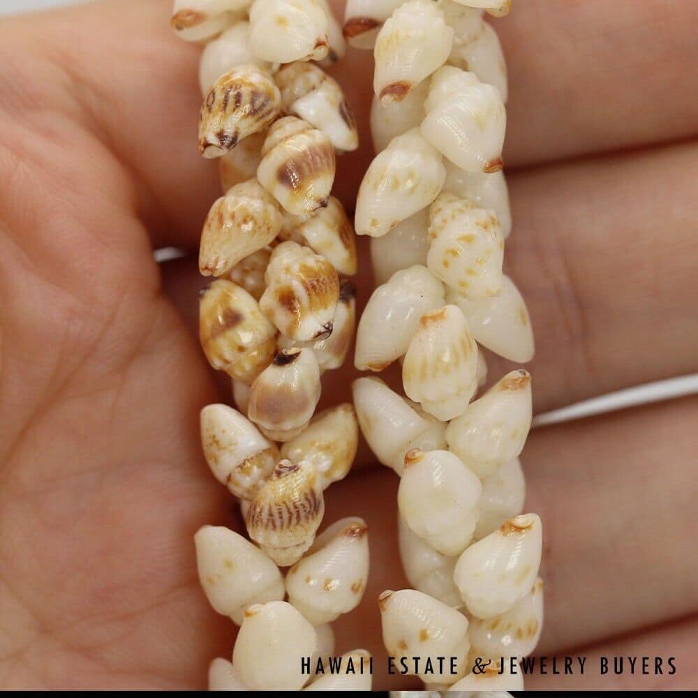 Double Strand Ni'ihau Shell Lei: Pikake Momi 51 inches #SC2017-01 - Image 5