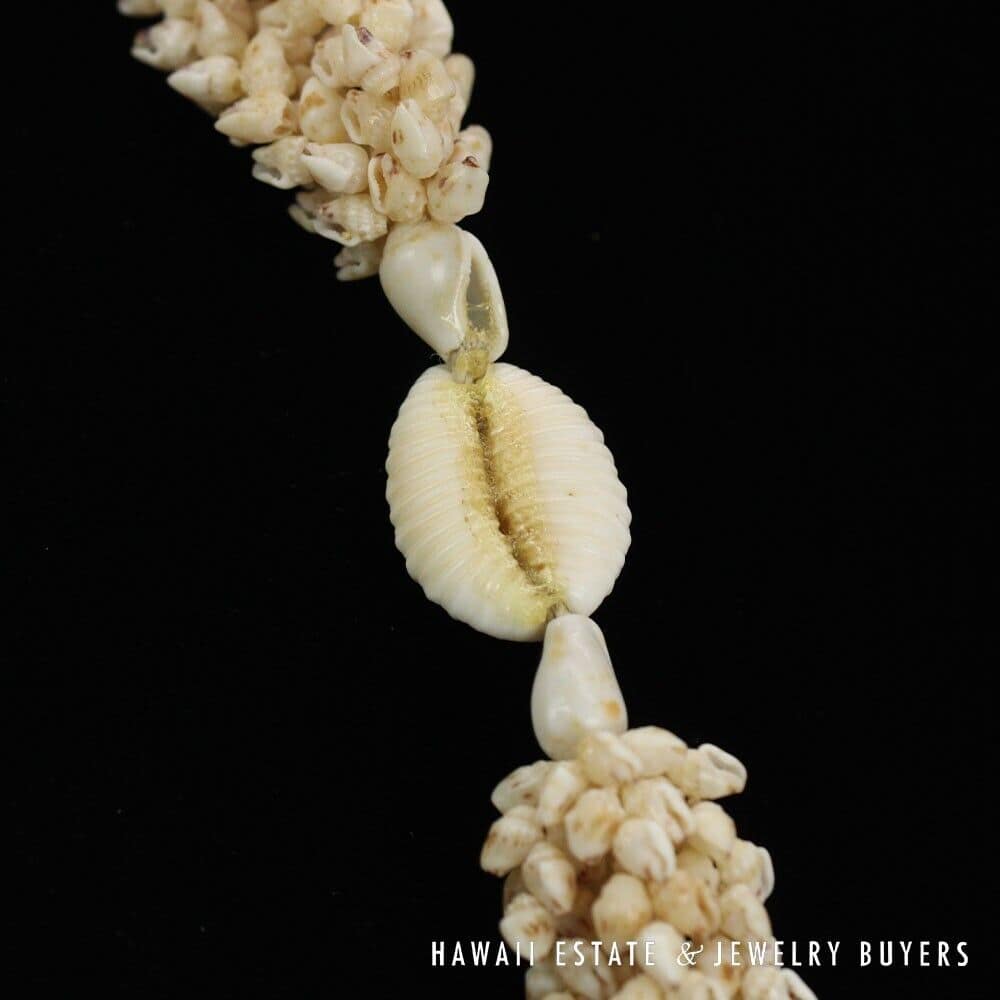 Four-Strand Ni'ihau Shell Lei: Pikake Momi Lenalena 36 inches #RM112420-04 - Image 3