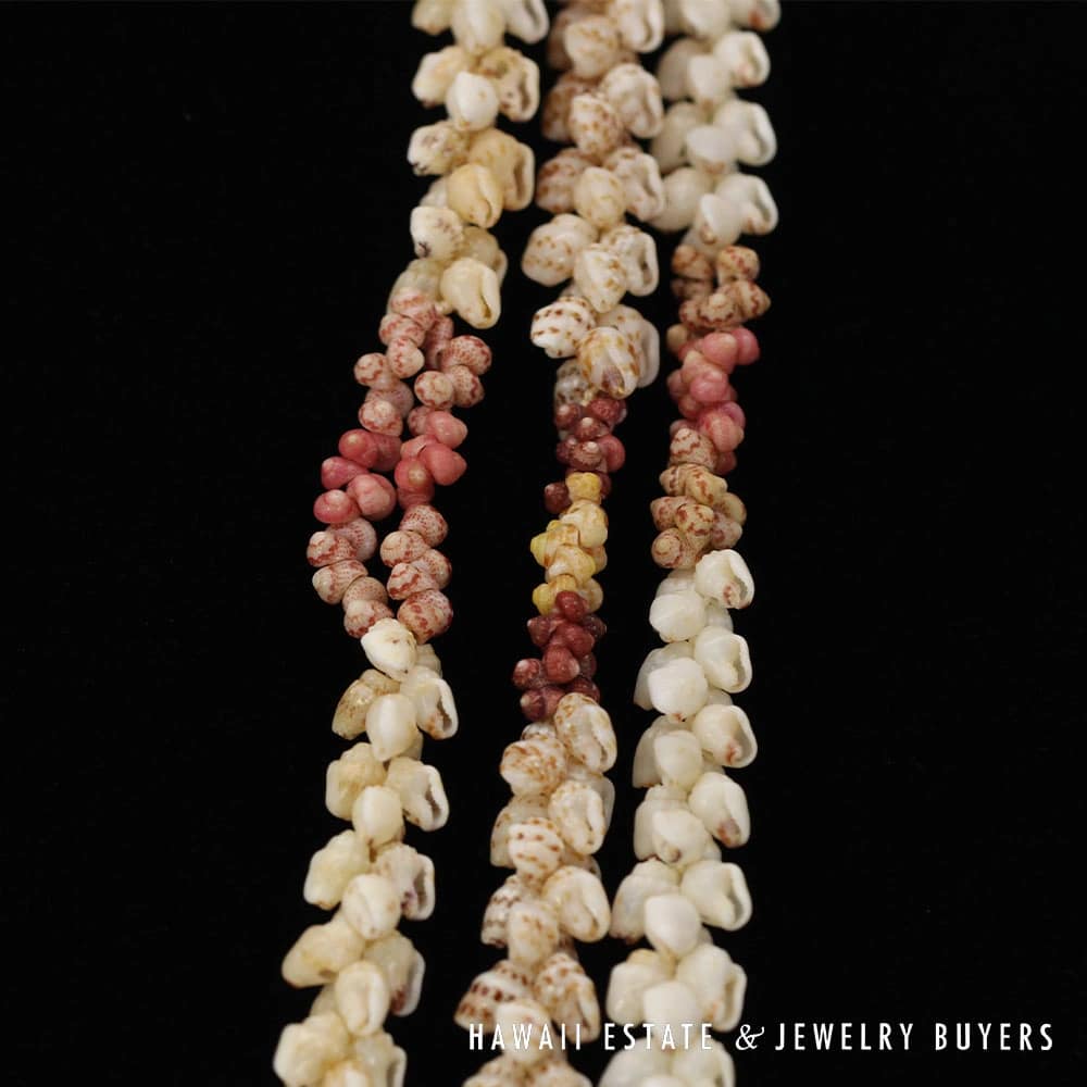Three-Strand Ni'ihau Shell Lei: 38 inch Kipona Pikake Momi. - Image 11