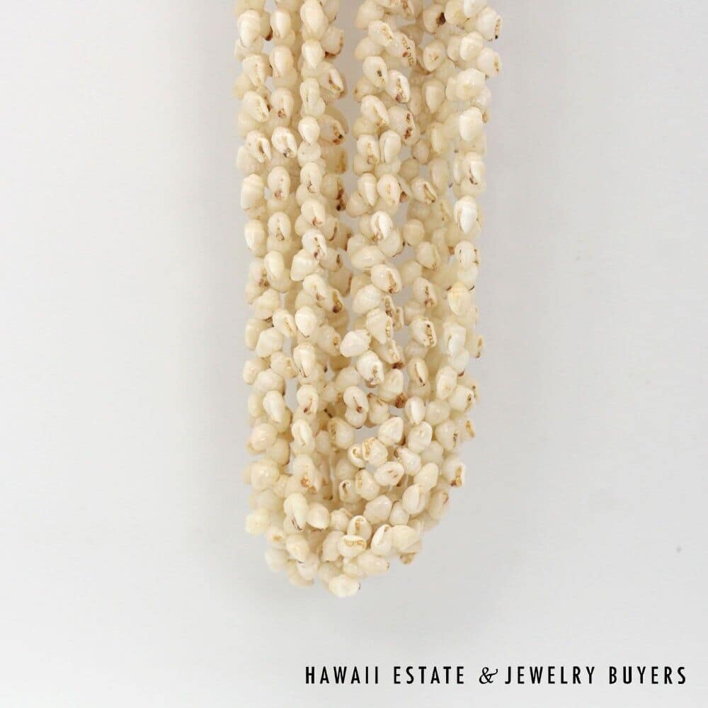 Eight-Strand Ni'ihau Shell Lei: Ginger Momi Ke'oke'o 36 inches #RM112420-02 - Image 6