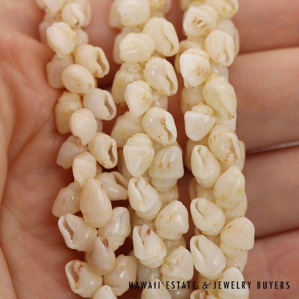 Three Strand Ni'ihau Shell Lei: Pikake Momi Lenalena 36 inches #2778-15 - Image 10