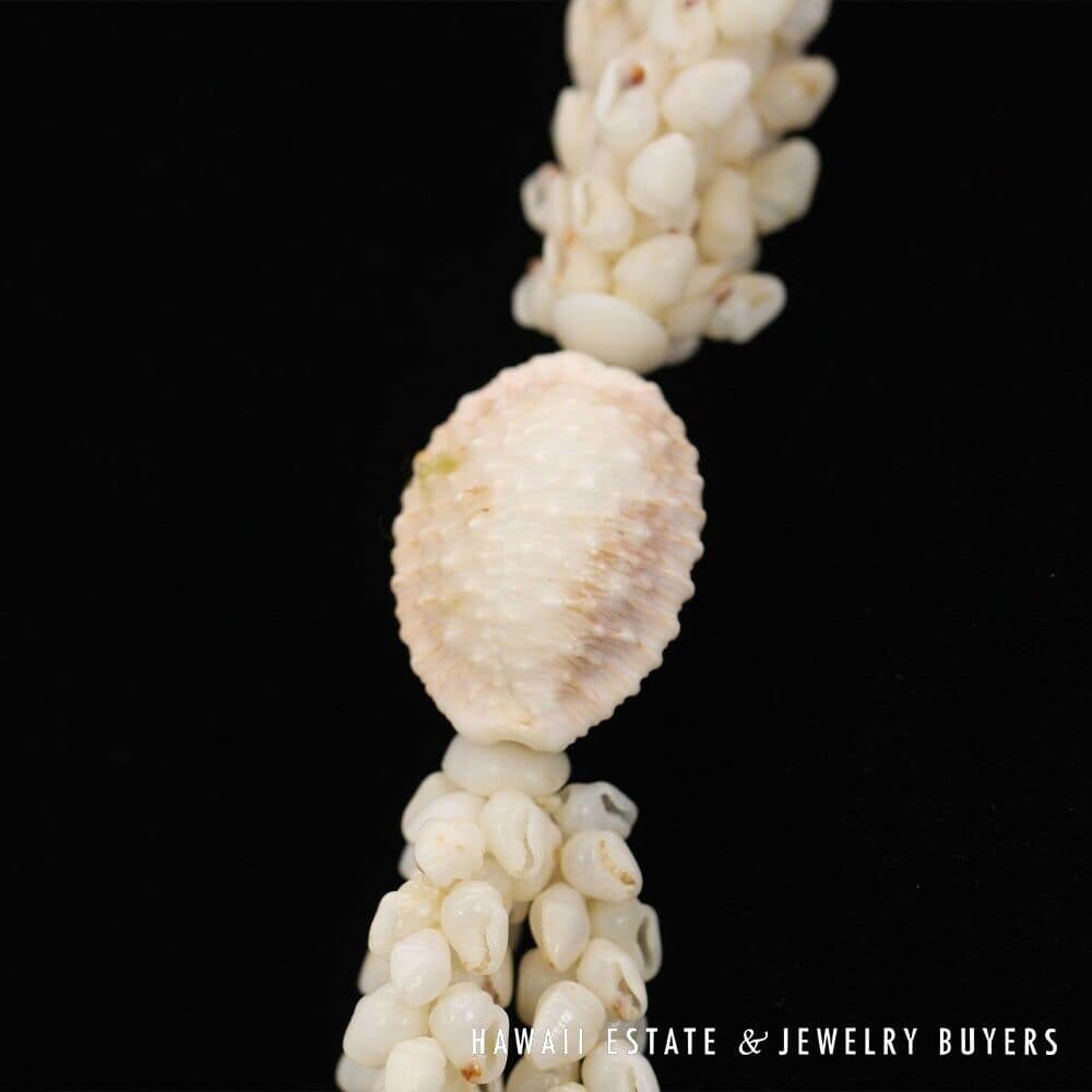 Three-Strand Ni'ihau Shell Lei: Pikake Momi Lenalena Kua Ula 36 inches #2778-14 - Image 10