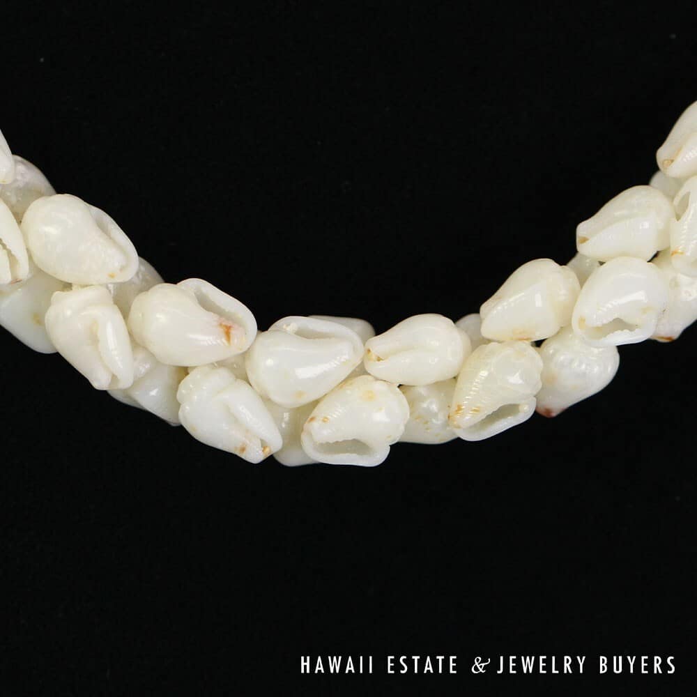 Ni'ihau Shell Choker Necklace with Earrings: Pupu Momi Ke'oke'o 16" #3280-02 - Image 5