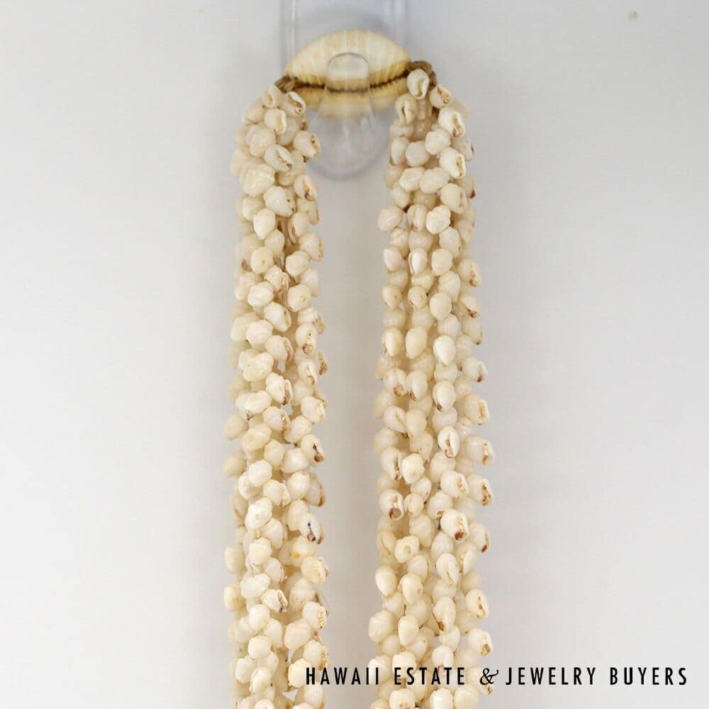 Eight-Strand Ni'ihau Shell Lei: Ginger Momi Ke'oke'o 36 inches #RM112420-02 - Image 3