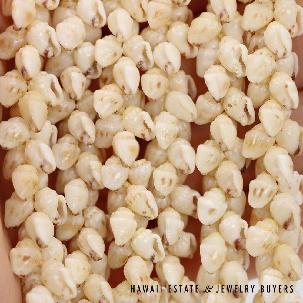 Three-Strand Ni'ihau Shell Lei: Pikake Momi Lenalena 36 inches #2835-01 - Image 10