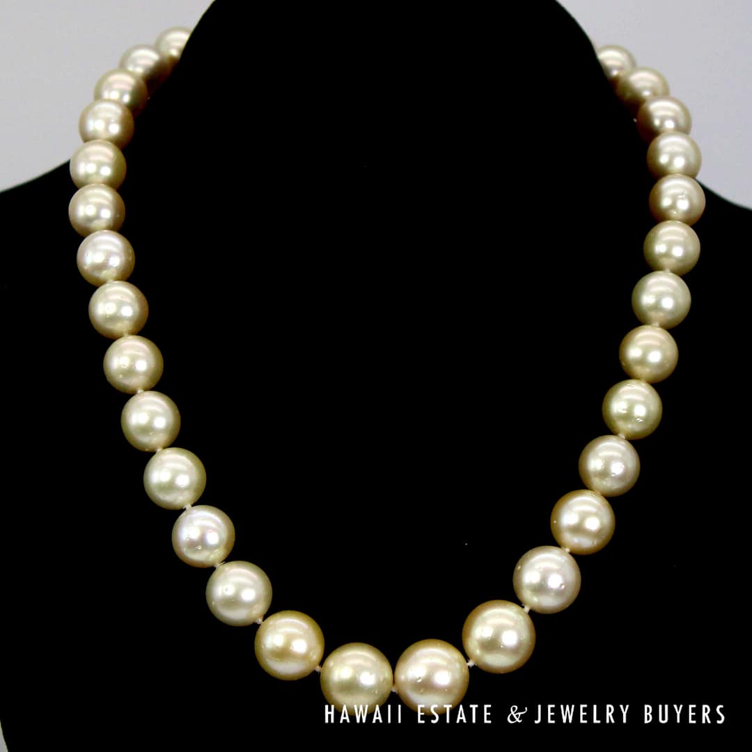 11-14mm Golden South Sea Pearl 14k Yellow Gold Strand 17.5"