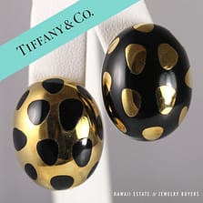 TIFFANY & CO. ANGELA CUMMINGS 18K GOLD & BLACK JADE POSITIVE NEGATIVE EARRINGS